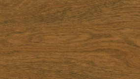 Simplicity Portabella on Maple