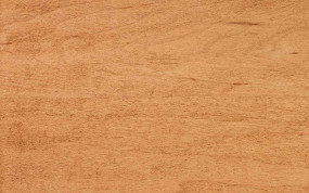 Stain Ginger on Maple