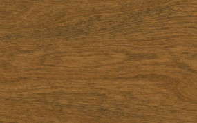 Stain Portabella on Cherry